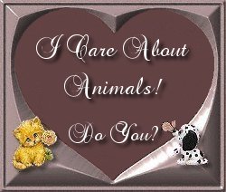 Stop Animal Abuse... Visit KYLadyJ's And Adopt A Pet Or Banner